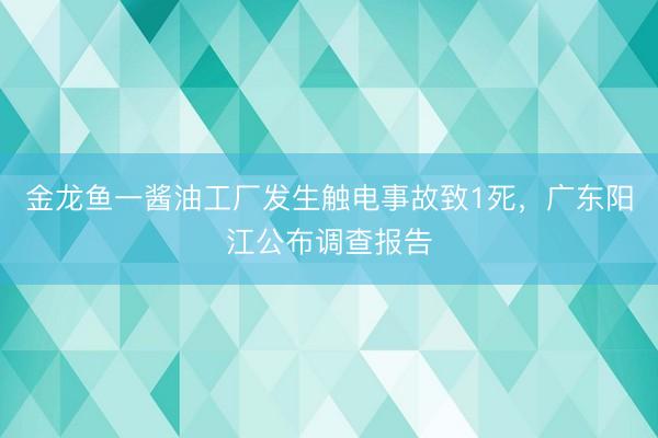 金龙鱼一酱油工厂发生触电事故致1死，广东阳江公布调查报告