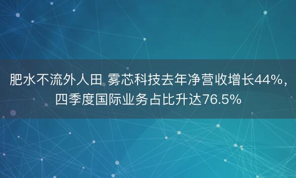 肥水不流外人田 雾芯科技去年净营收增长44%，四季度国际业务占比升达76.5%
