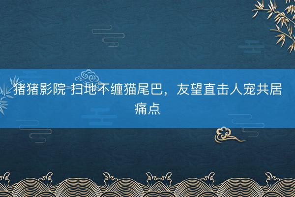 猪猪影院 扫地不缠猫尾巴，友望直击人宠共居痛点