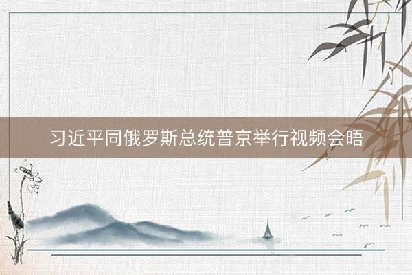 习近平同俄罗斯总统普京举行视频会晤