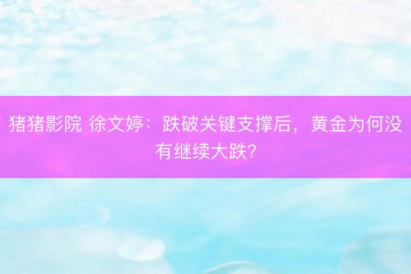 猪猪影院 徐文婷：跌破关键支撑后，黄金为何没有继续大跌？