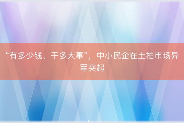 “有多少钱、干多大事”，中小民企在土拍市场异军突起