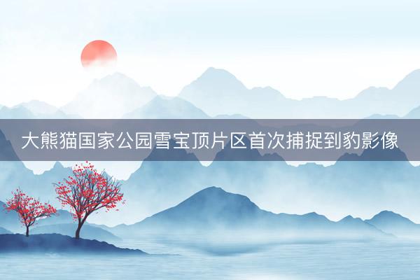 大熊猫国家公园雪宝顶片区首次捕捉到豹影像