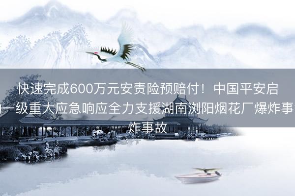快速完成600万元安责险预赔付!中国平安启动一级重大应急响应全力支援湖南浏阳烟花厂爆炸事故