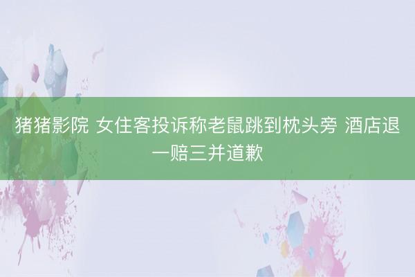 猪猪影院 女住客投诉称老鼠跳到枕头旁 酒店退一赔三并道歉