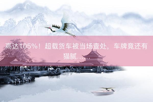 高达105%！超载货车被当场查处，车牌竟还有猫腻……