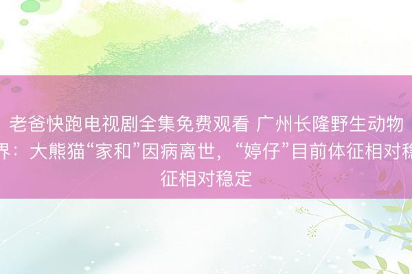 老爸快跑电视剧全集免费观看 广州长隆野生动物世界：大熊猫“家和”因病离世，“婷仔”目前体征相对稳定
