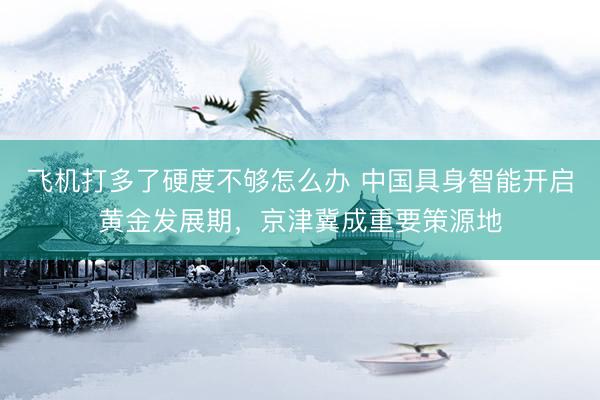 飞机打多了硬度不够怎么办 中国具身智能开启黄金发展期，京津冀成重要策源地