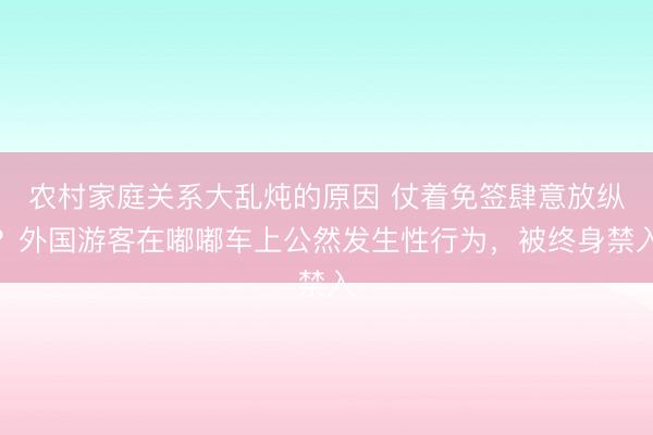 农村家庭关系大乱炖的原因 仗着免签肆意放纵？外国游客在嘟嘟车上公然发生性行为，被终身禁入