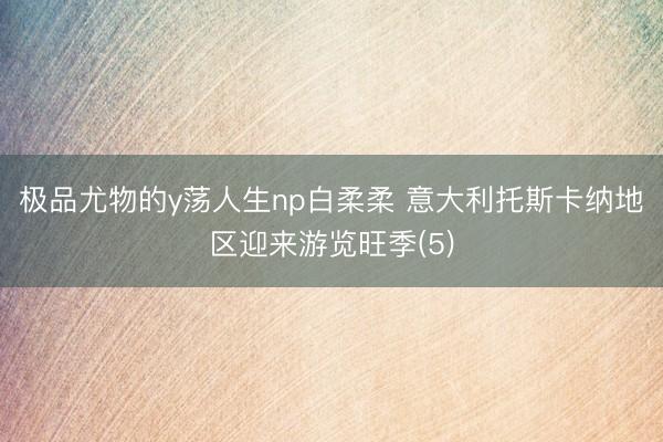 极品尤物的y荡人生np白柔柔 意大利托斯卡纳地区迎来游览旺季(5)