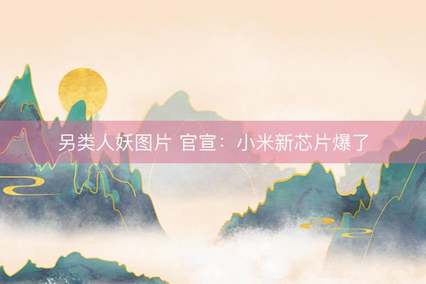 另类人妖图片 官宣：小米新芯片爆了