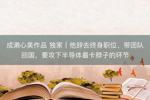 成濑心美作品 独家丨他辞去终身职位、带团队回国，要攻下半导体最卡脖子的环节