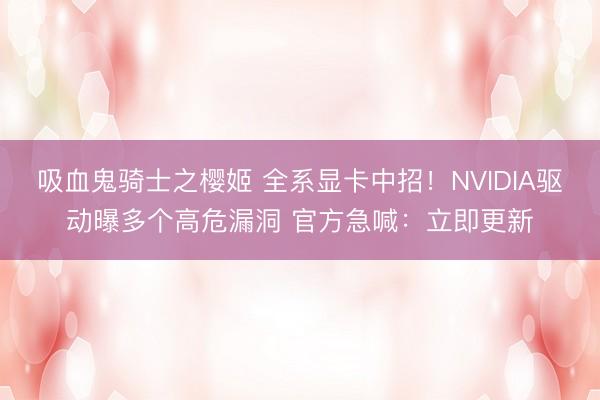 吸血鬼骑士之樱姬 全系显卡中招！NVIDIA驱动曝多个高危漏洞 官方急喊：立即更新