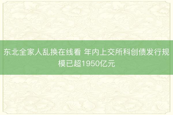 东北全家人乱换在线看 年内上交所科创债发行规模已超1950亿元