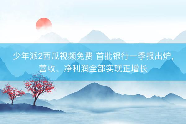 少年派2西瓜视频免费 首批银行一季报出炉，营收、净利润全部实现正增长