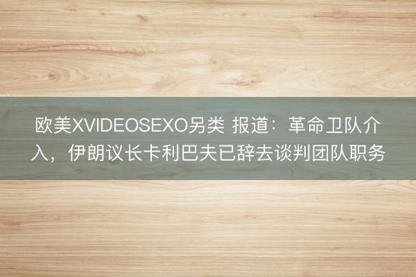 欧美XVIDEOSEXO另类 报道：革命卫队介入，伊朗议长卡利巴夫已辞去谈判团队职务