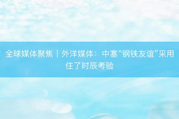 全球媒体聚焦｜外洋媒体：中塞“钢铁友谊”采用住了时辰考验