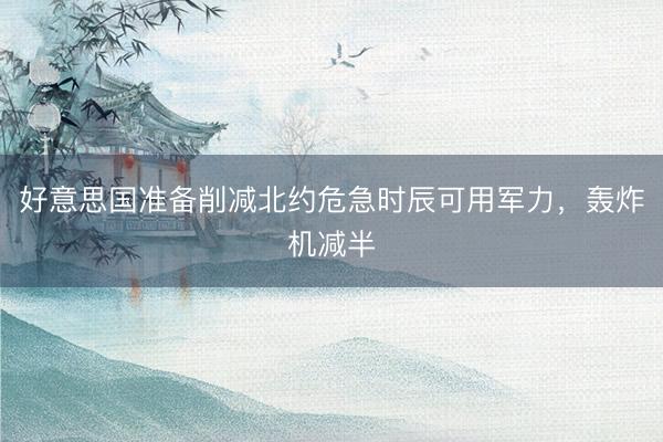 好意思国准备削减北约危急时辰可用军力，轰炸机减半