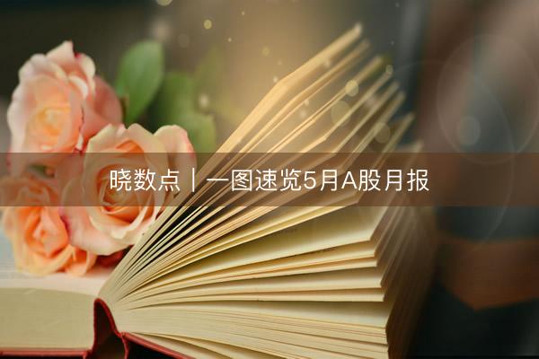 晓数点|一图速览5月A股月报