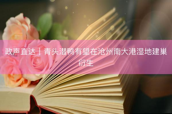 政声直达｜青头潜鸭有望在沧州南大港湿地建巢衍生