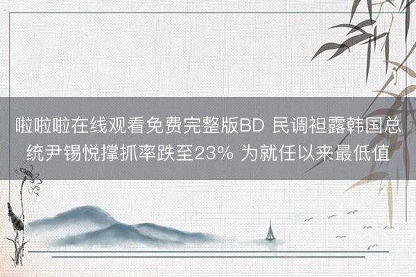 啦啦啦在线观看免费完整版BD 民调袒露韩国总统尹锡悦撑抓率跌至23% 为就任以来最低值