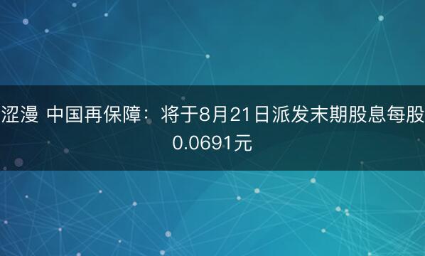 涩漫 中国再保障：将于8月21日派发末期股息每股0.0691元