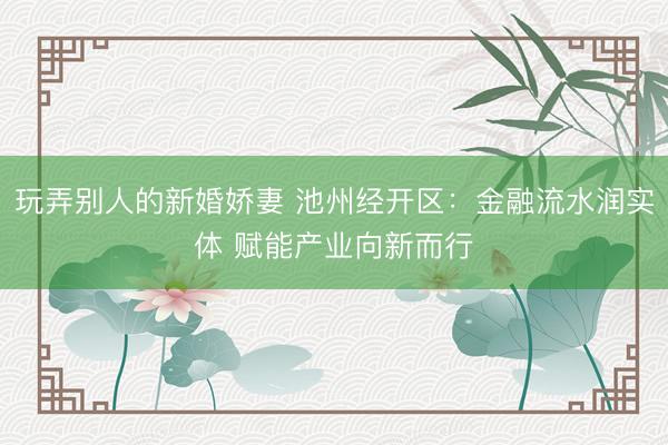 玩弄别人的新婚娇妻 池州经开区：金融流水润实体 赋能产业向新而行
