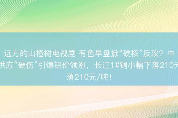 远方的山楂树电视剧 有色早盘掀“硬核”反攻？中东铝供应“硬伤”引爆铝价领涨，长江1#铜小幅下落210元/吨！