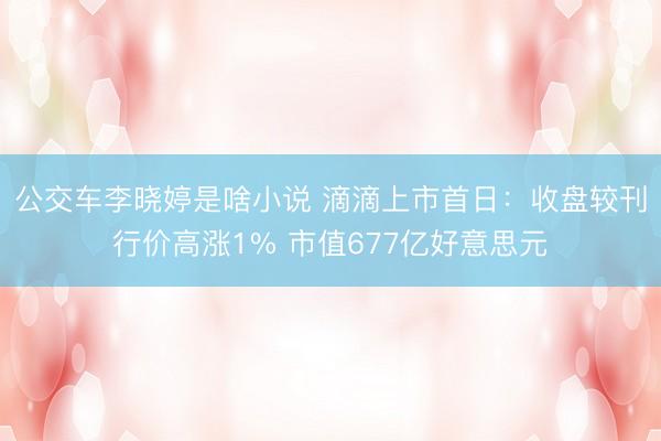 公交车李晓婷是啥小说 滴滴上市首日：收盘较刊行价高涨1% 市值677亿好意思元