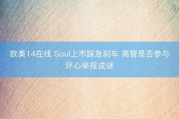 欧美14在线 Soul上市踩急刹车 高管是否参与坏心举报成谜