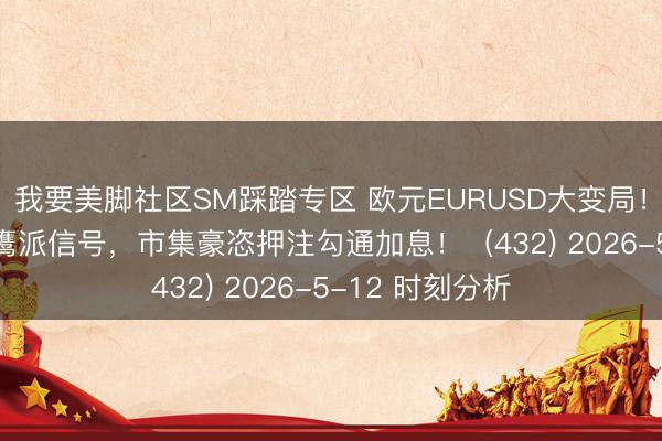 我要美脚社区SM踩踏专区 欧元EURUSD大变局！欧洲央行开释鹰派信号，市集豪恣押注勾通加息！  (432) 2026-5-12 时刻分析