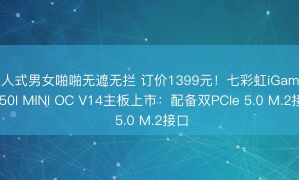 后人式男女啪啪无遮无拦 订价1399元！七彩虹iGame B850I MINI OC V14主板上市：配备双PCIe 5.0 M.2接口