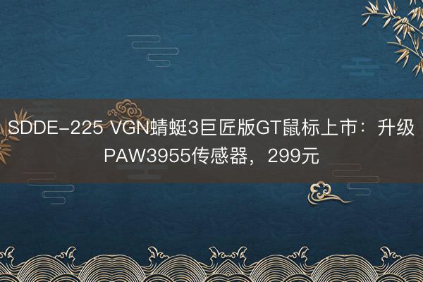 SDDE-225 VGN蜻蜓3巨匠版GT鼠标上市：升级PAW3955传感器，299元