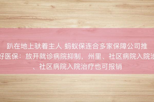 趴在地上驮着主人 蚂蚁保连合多家保障公司推出“城乡版”好医保:放开就诊病院抑制,州里、社区病院入院治疗也可报销