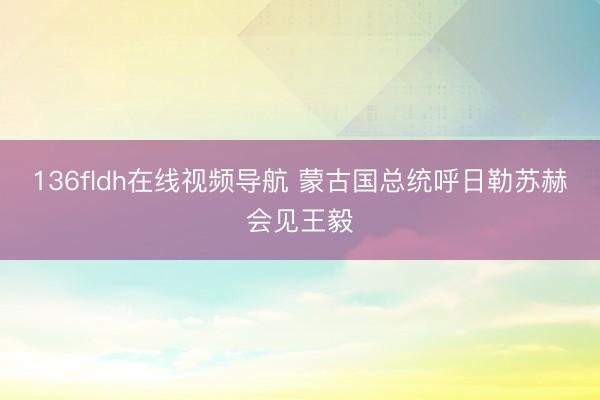 136fldh在线视频导航 蒙古国总统呼日勒苏赫会见王毅