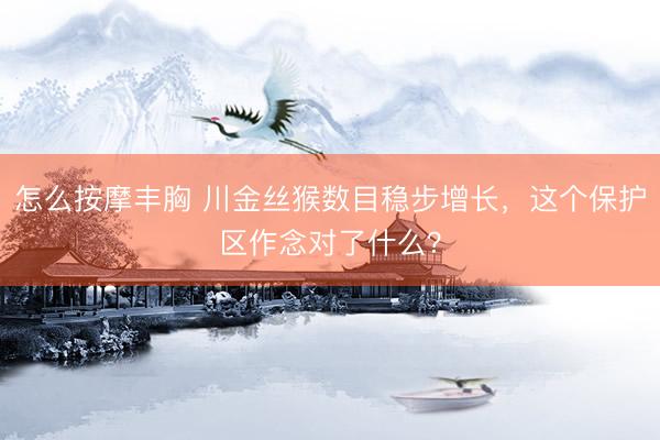 怎么按摩丰胸 川金丝猴数目稳步增长，这个保护区作念对了什么？