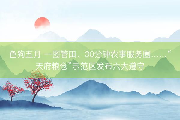 色狗五月 一图管田、30分钟农事服务圈……“天府粮仓”示范区发布六大遵守