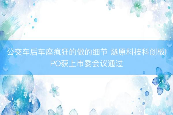 公交车后车座疯狂的做的细节 燧原科技科创板IPO获上市委会议通过