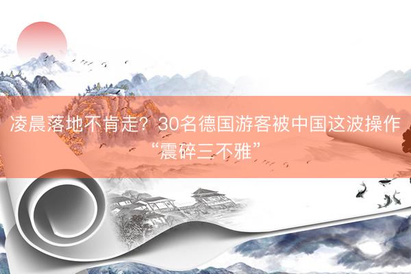 凌晨落地不肯走?30名德国游客被中国这波操作“震碎三不雅”