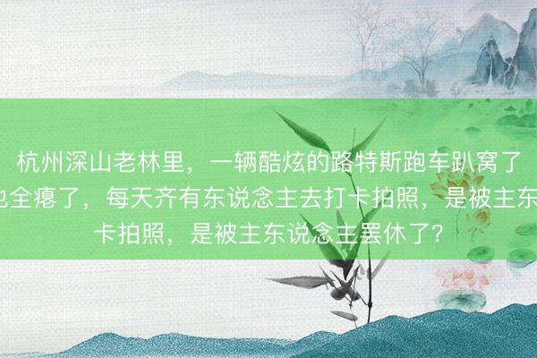 杭州深山老林里，一辆酷炫的路特斯跑车趴窝了近半年，轮胎也全瘪了，每天齐有东说念主去打卡拍照，是被主东说念主罢休了？