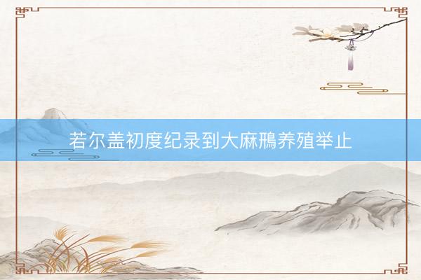 若尔盖初度纪录到大麻鳽养殖举止